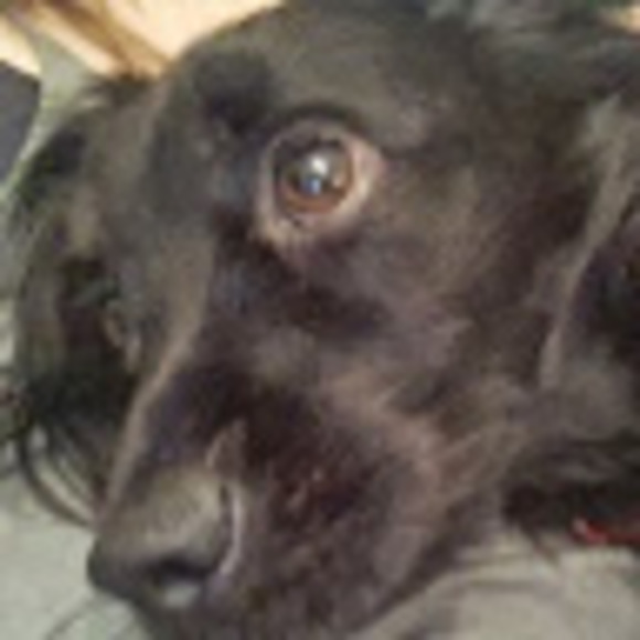 Meet your Posher, Netali - Picture 1 of 1